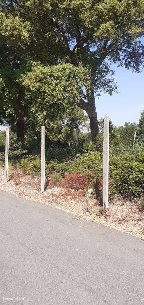 Terreno para construção em Santa Maria de Lamas - Grande imagem: 3/14