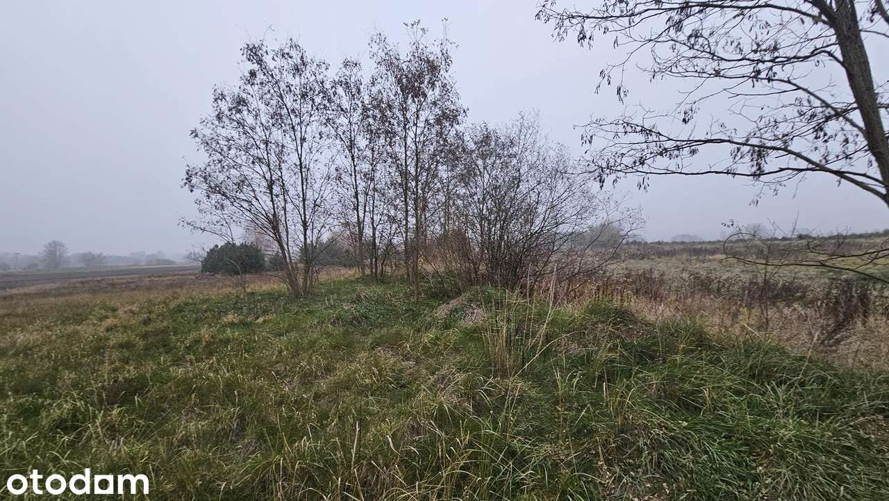 Działka o powierzchni 16800 m2 - Pełny obrazek: 3/9