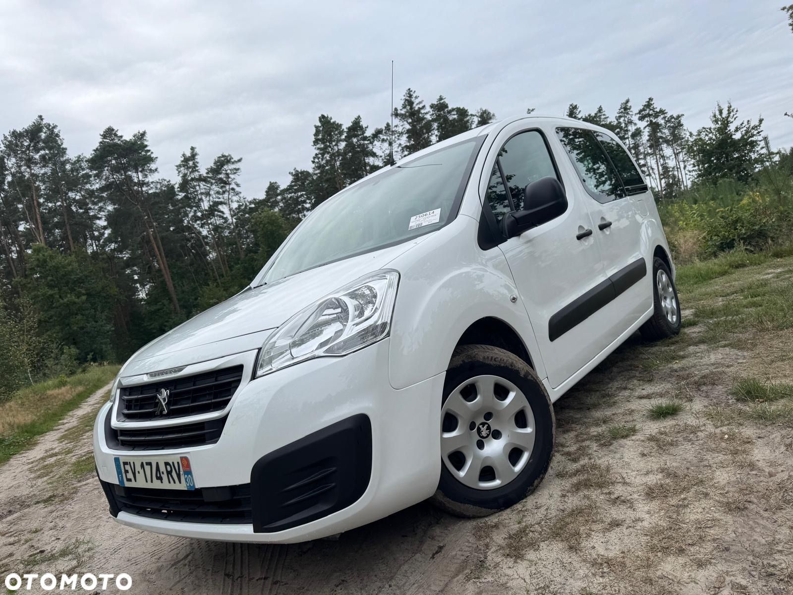 Peugeot Partner 1.6 BlueHDi Active S&S ETG - 1