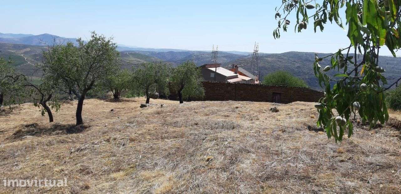 Terreno com 881m² situado na Quinta da Cornalheira, Mêd - Grande imagem: 3/13