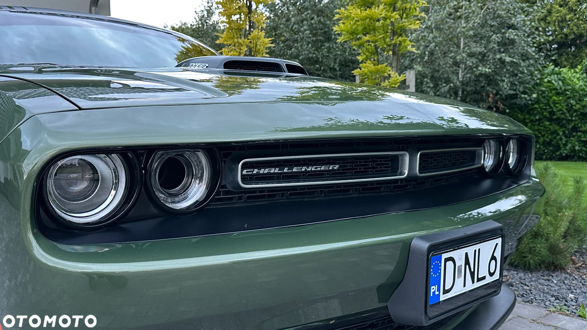 Dodge Challenger Automatik R/T Plus Shaker - 6