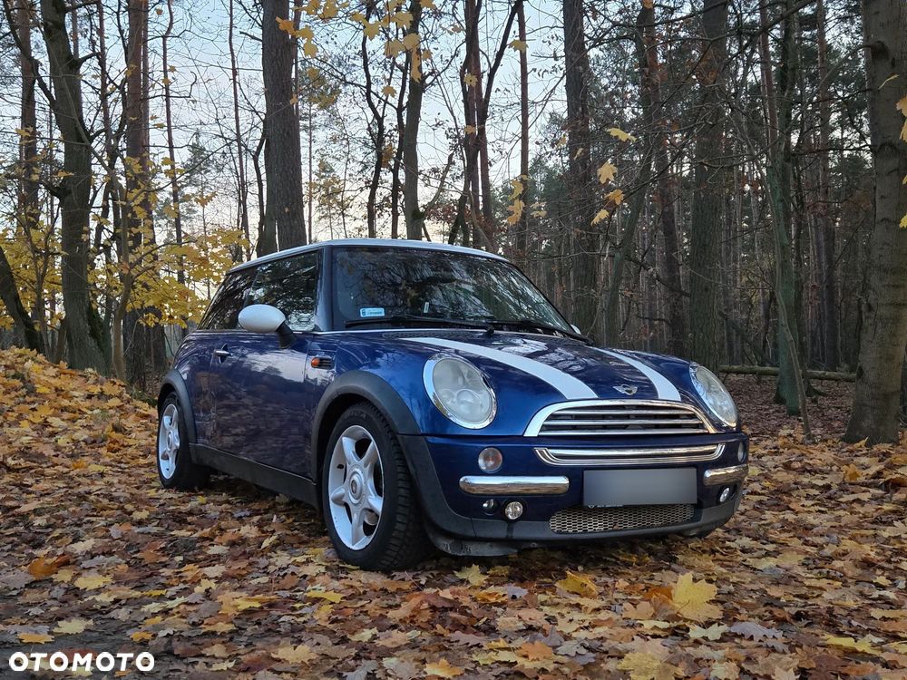 MINI Cooper chili - 5