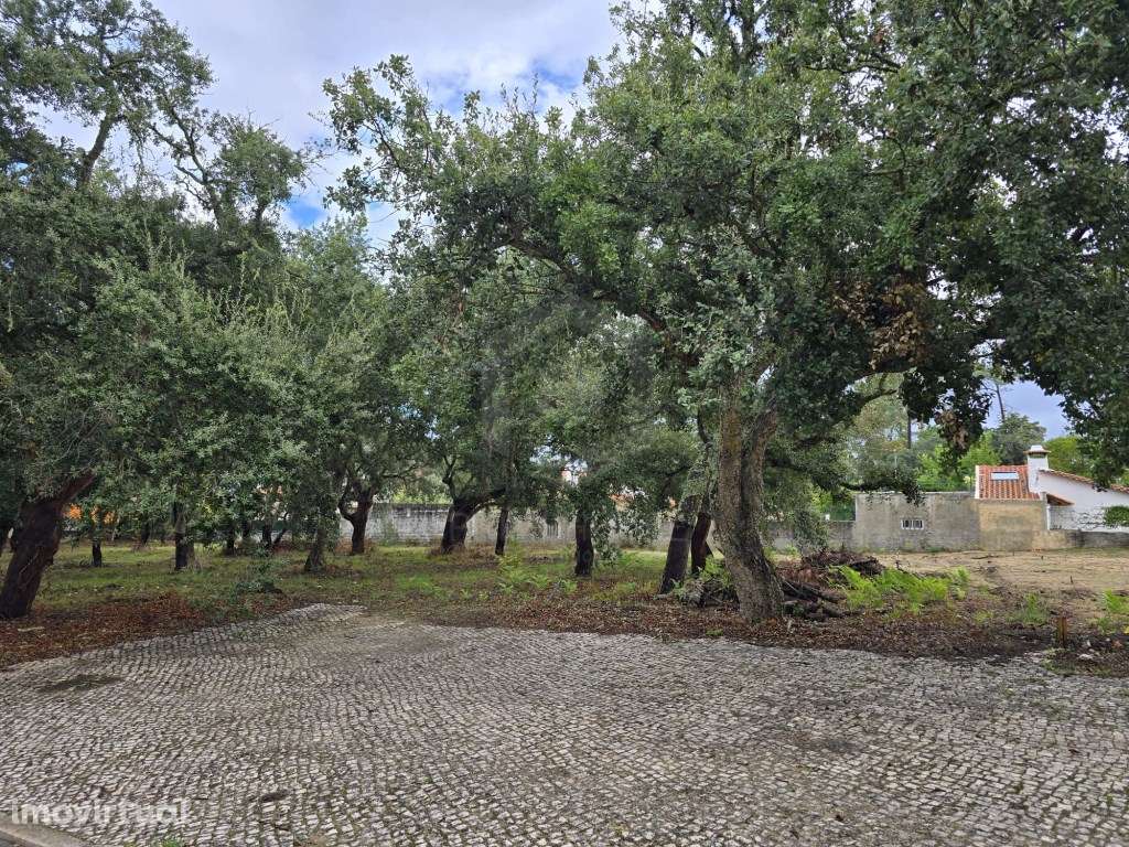 Terreno para construção de moradia isolada no Alto das Vinhas, Sesi... - Grande imagem: 3/5