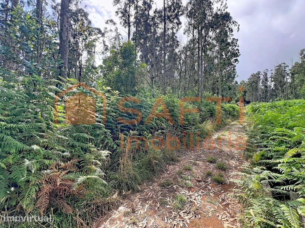 TERRENO PARA CONSTRUÇÃO DE 4.500 M² COM POTENCIAL RESIDENCIAL E TUR...