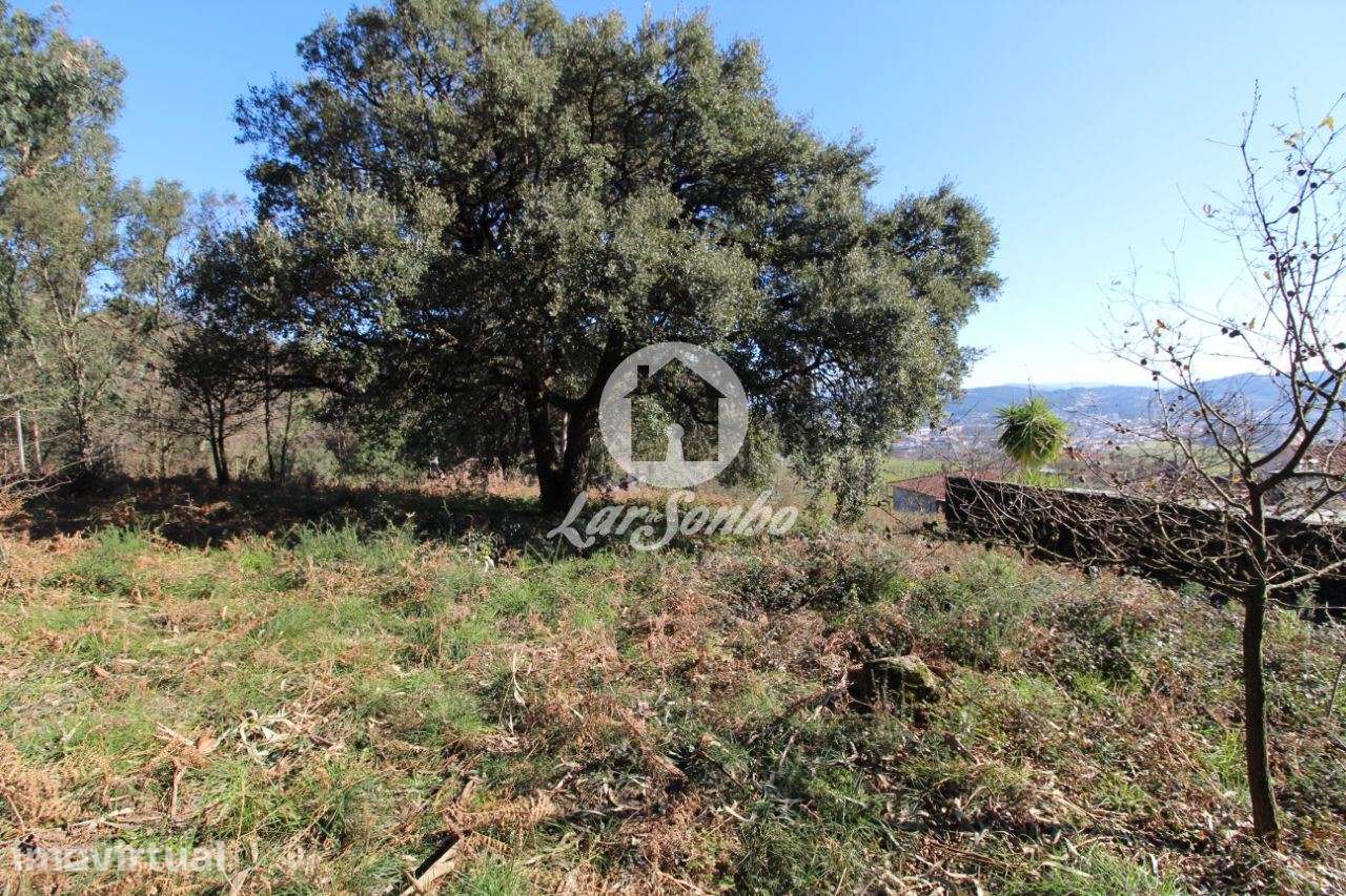 Terreno para construção com 5.000m2 em Vermoim - Grande imagem: 3/6