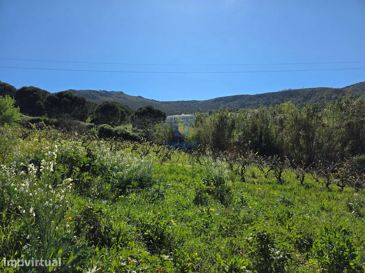 Terreno com 2.200m2, com viabilidade para construir 1806m2. - Grande imagem: 3/6