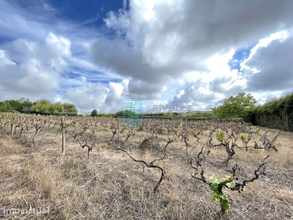 Terreno plano com 7913,70 m2 a 3 minutos do centro de Torres Vedras - Grande imagem: 3/7