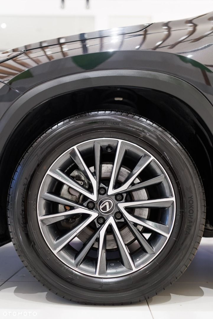 Lexus NX - 16