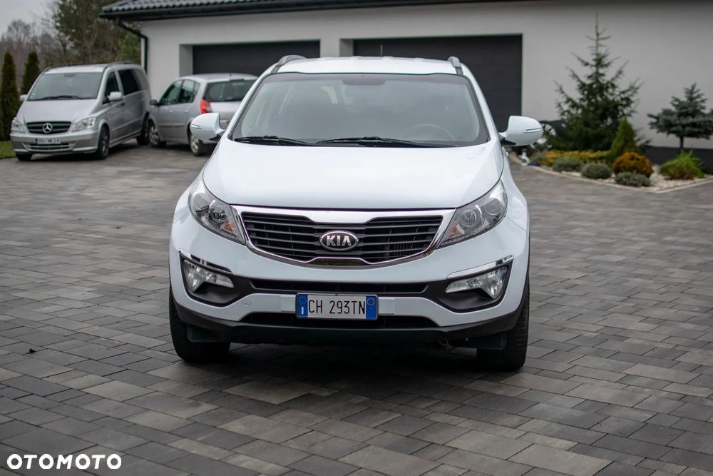 Kia Sportage - 29