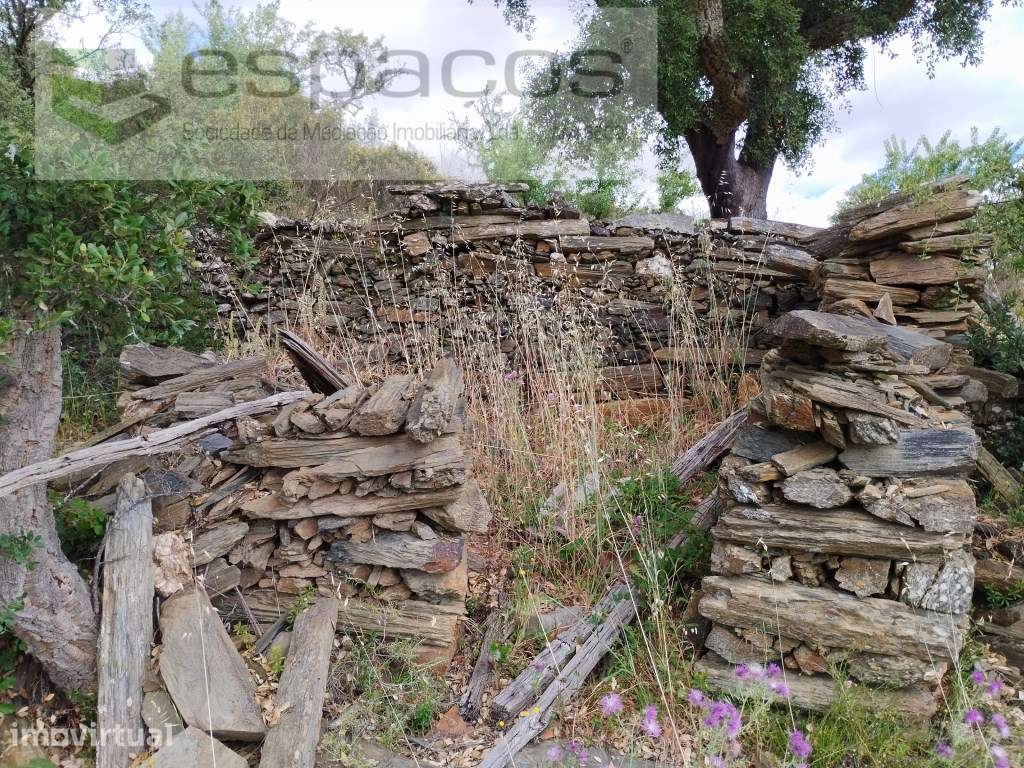 Terreno Monte Fidalgo - Grande imagem: 2/12