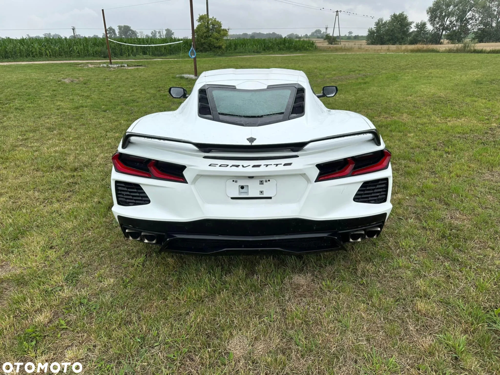 Chevrolet Corvette - 26