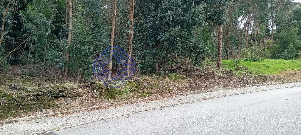 Terreno Rustico Sandim com possibilidade de construção - Grande imagem: 2/10