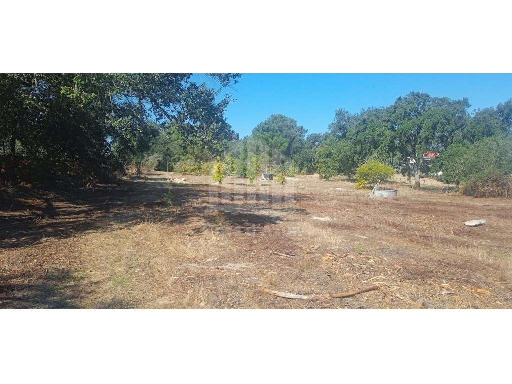 Terreno para construção de moradias - Sesimbra, Castelo - Grande imagem: 2/19