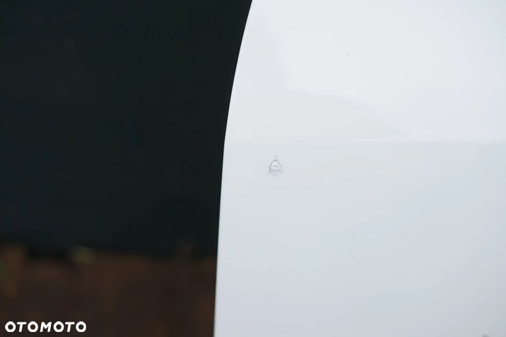 Drzwi przód przednie lewe Skoda Fabia II 1026 - 3