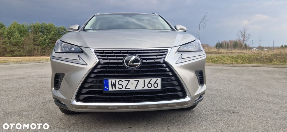 Lexus NX 300 Comfort AWD - 5
