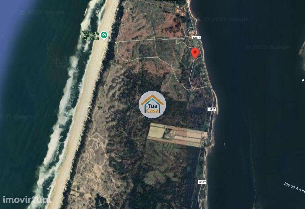 Terreno Rústico – Quinta da Gaivina | MurtosaTerreno Rústico – Quinta - Grande imagem: 3/5