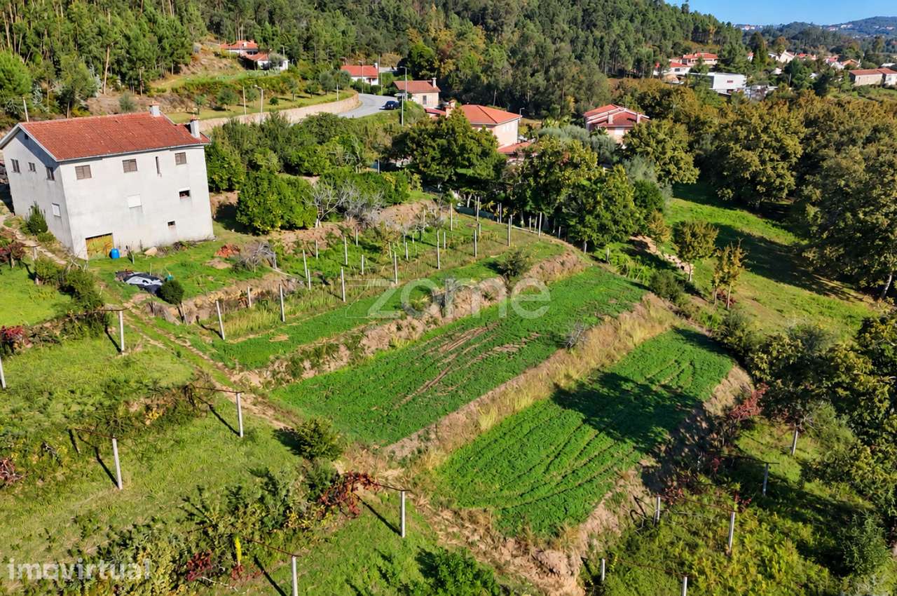 Terreno urbanizavel com moradia por legalizar, Escariz S. Mamede, V.V. - Grande imagem: 5/17