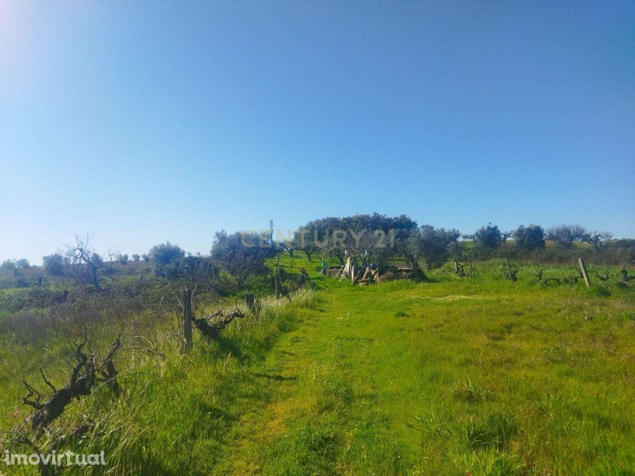 Terreno Rústico, Lousa em Castelo Branco - Grande imagem: 5/10