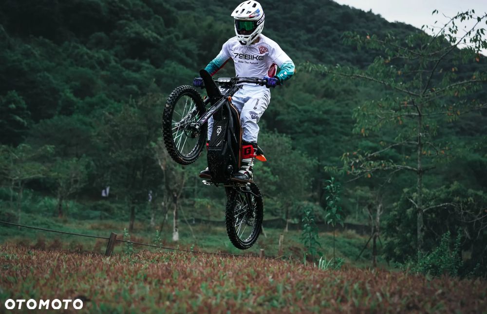 79Bike Falcon Pro - 31