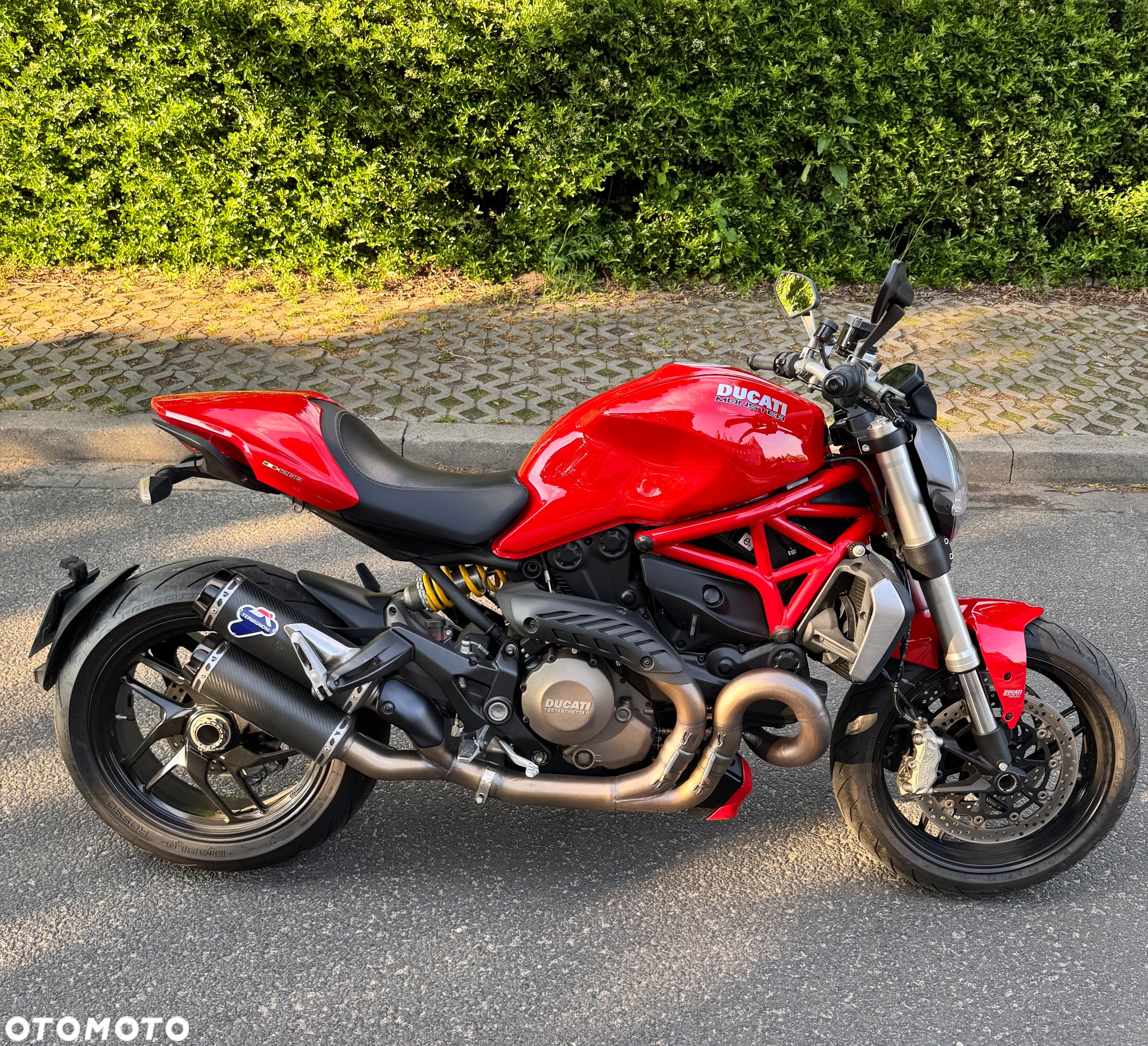 Ducati Monster - 10