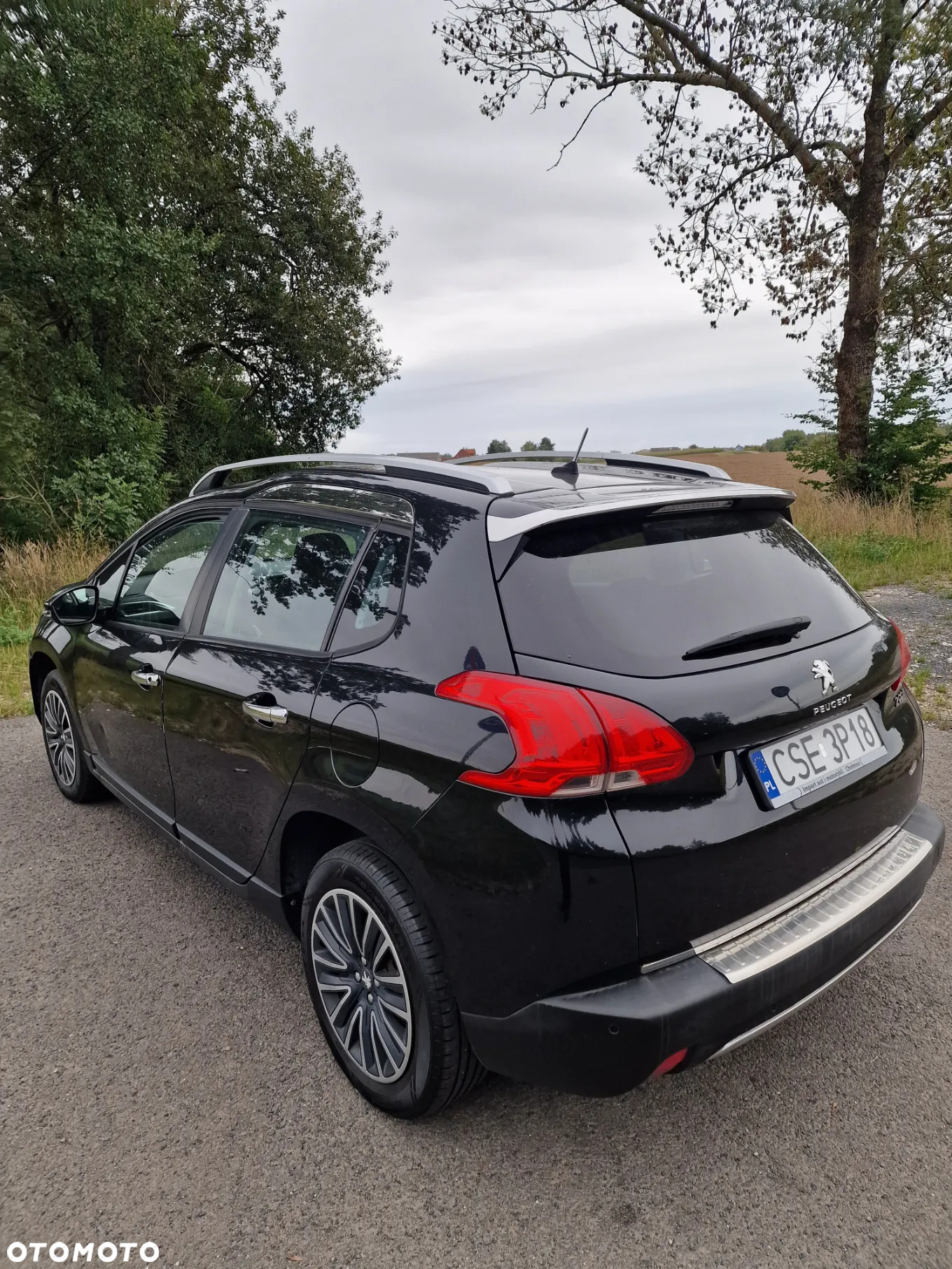 Peugeot 2008 - 6