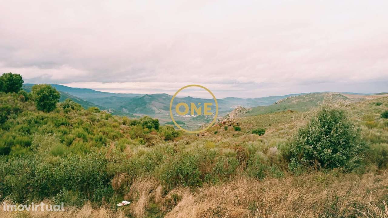 Terreno Rústico - Grande imagem: 3/7