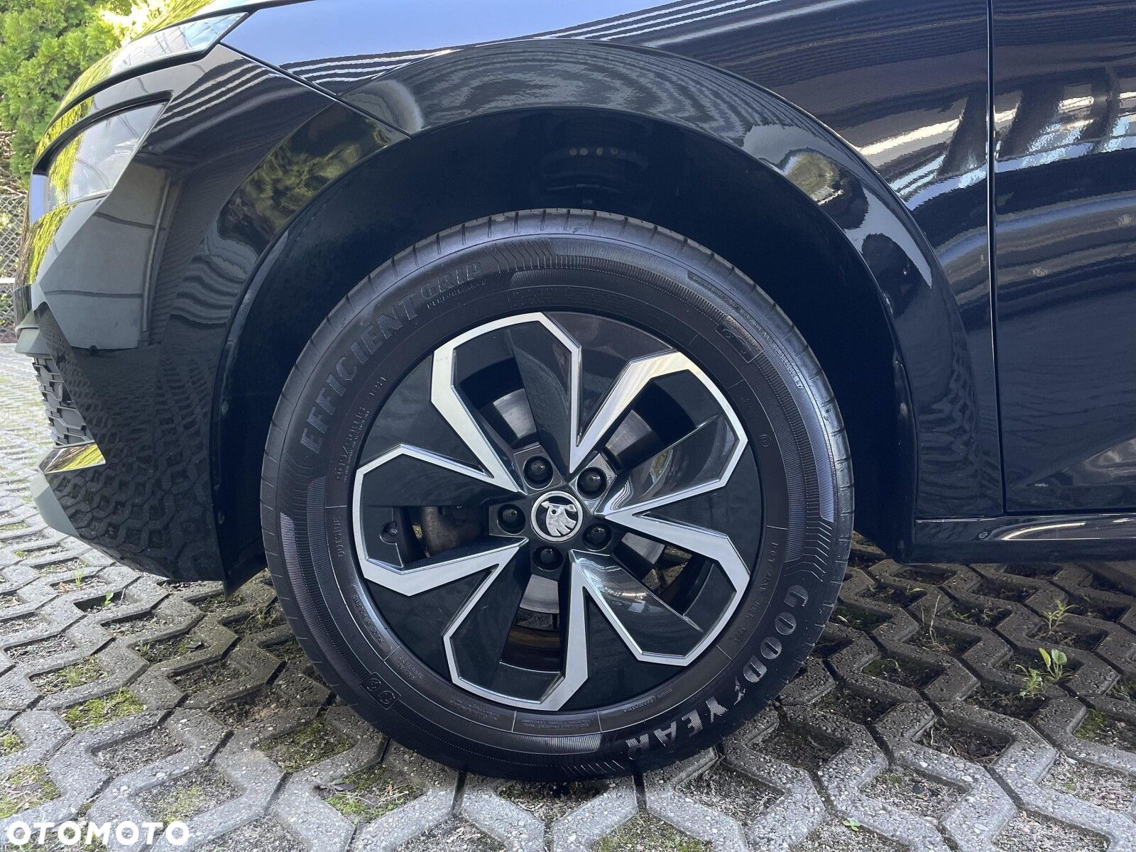 Skoda Kamiq 1.0 TSI Ambition - 11