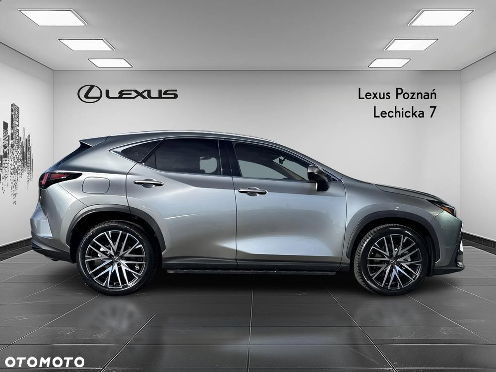 Lexus NX - 6
