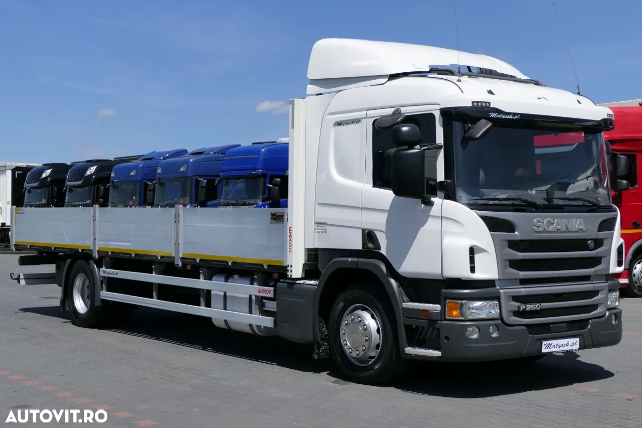 Scania P 250 / Bufeta / Noptiera - lungime: 8,10 m / 2016 / EURO 6 / - 8