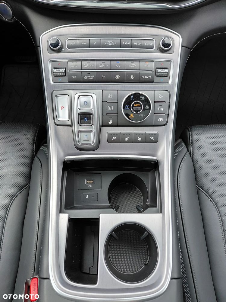 Hyundai Santa Fe - 19