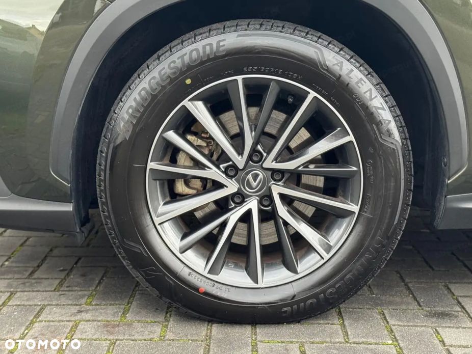 Lexus NX - 15