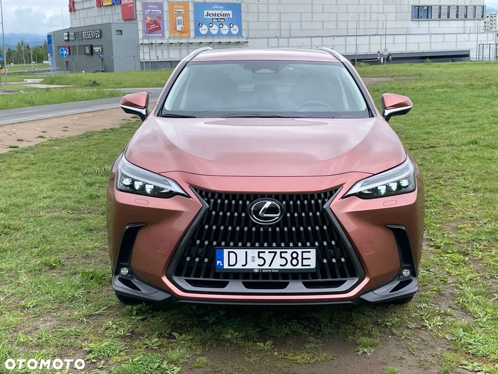 Lexus NX 350h Prestige AWD - 7
