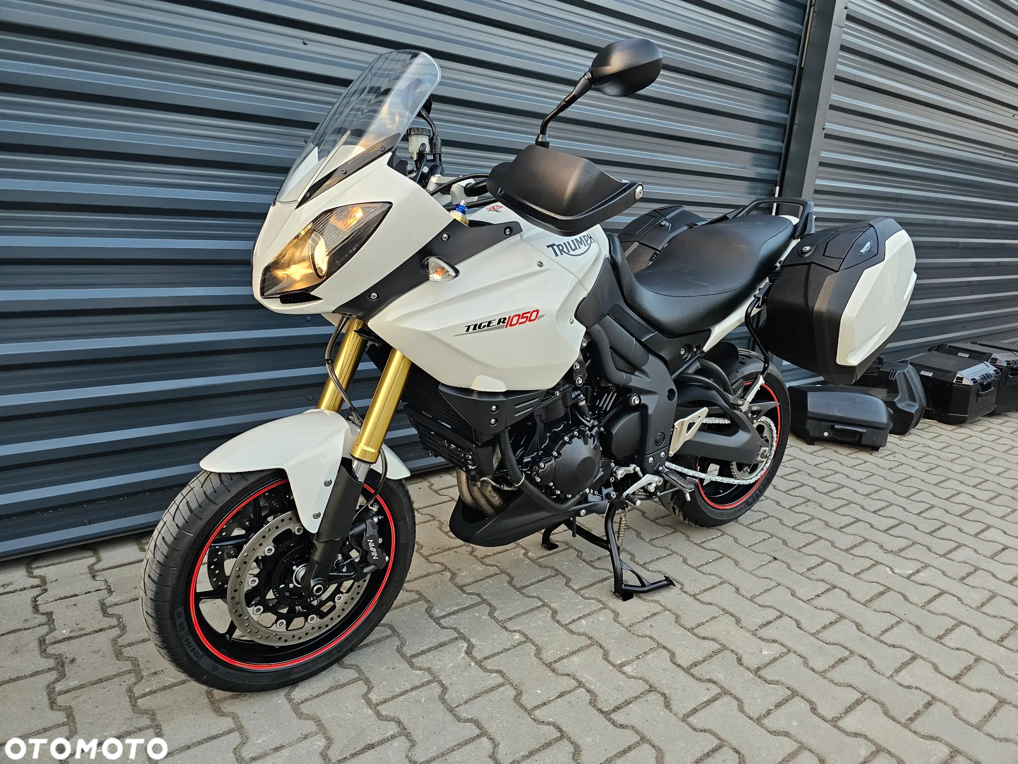 Triumph Tiger - 5
