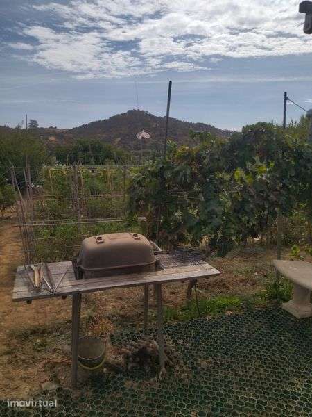Casa com terreno - Grande imagem: 3/8