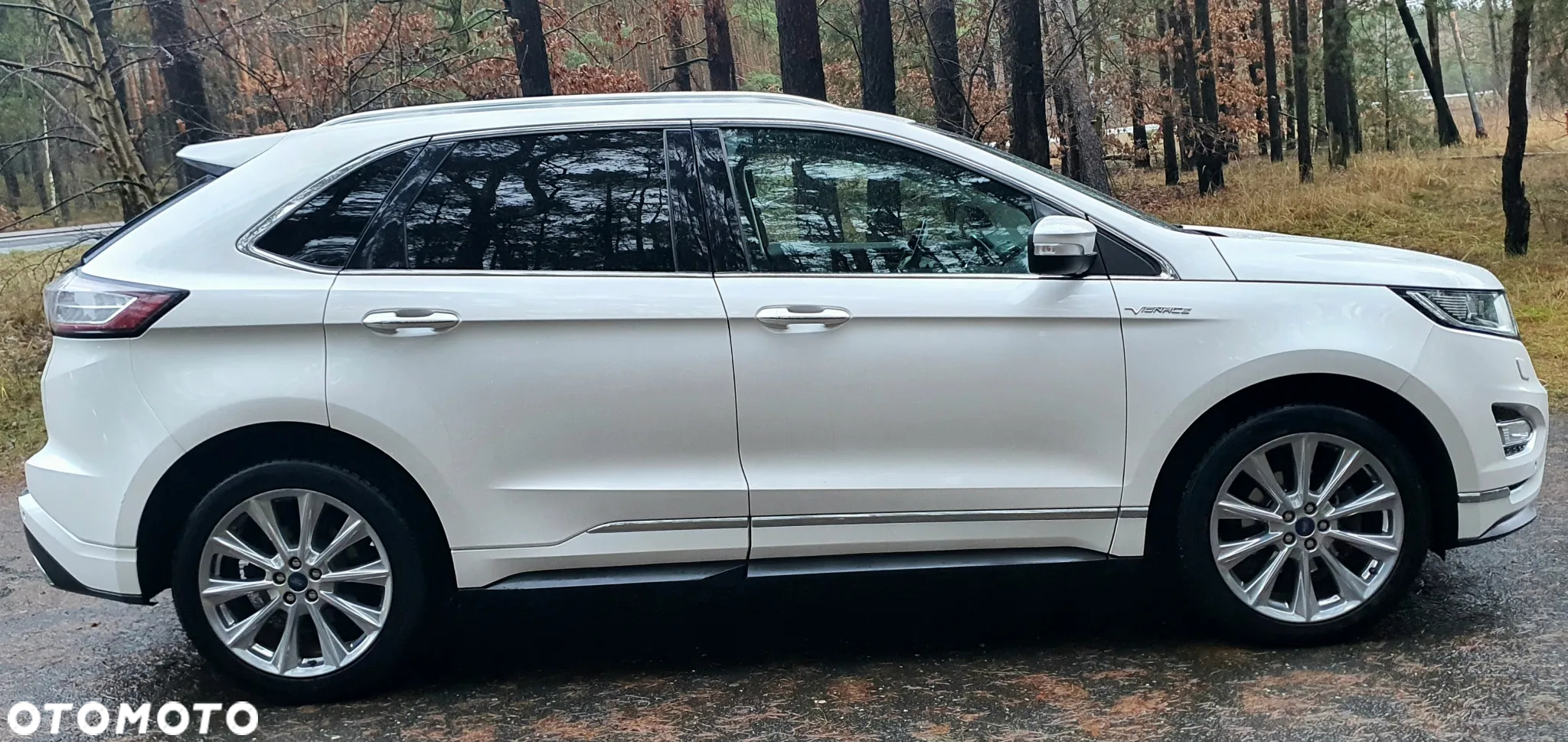 Ford Edge Vignale 2.0 TDCi Twin-Turbo 4WD - 3