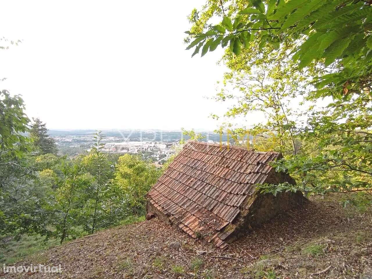 Terreno Rústico São Romão Seia - Grande imagem: 3/21
