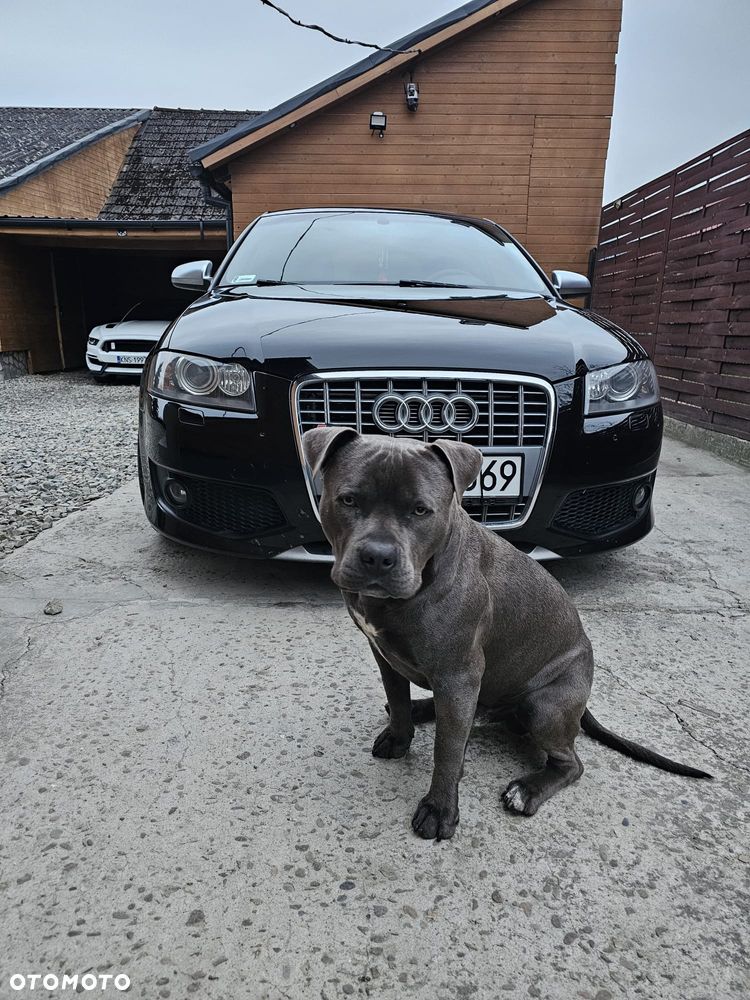 Audi S3 - 1