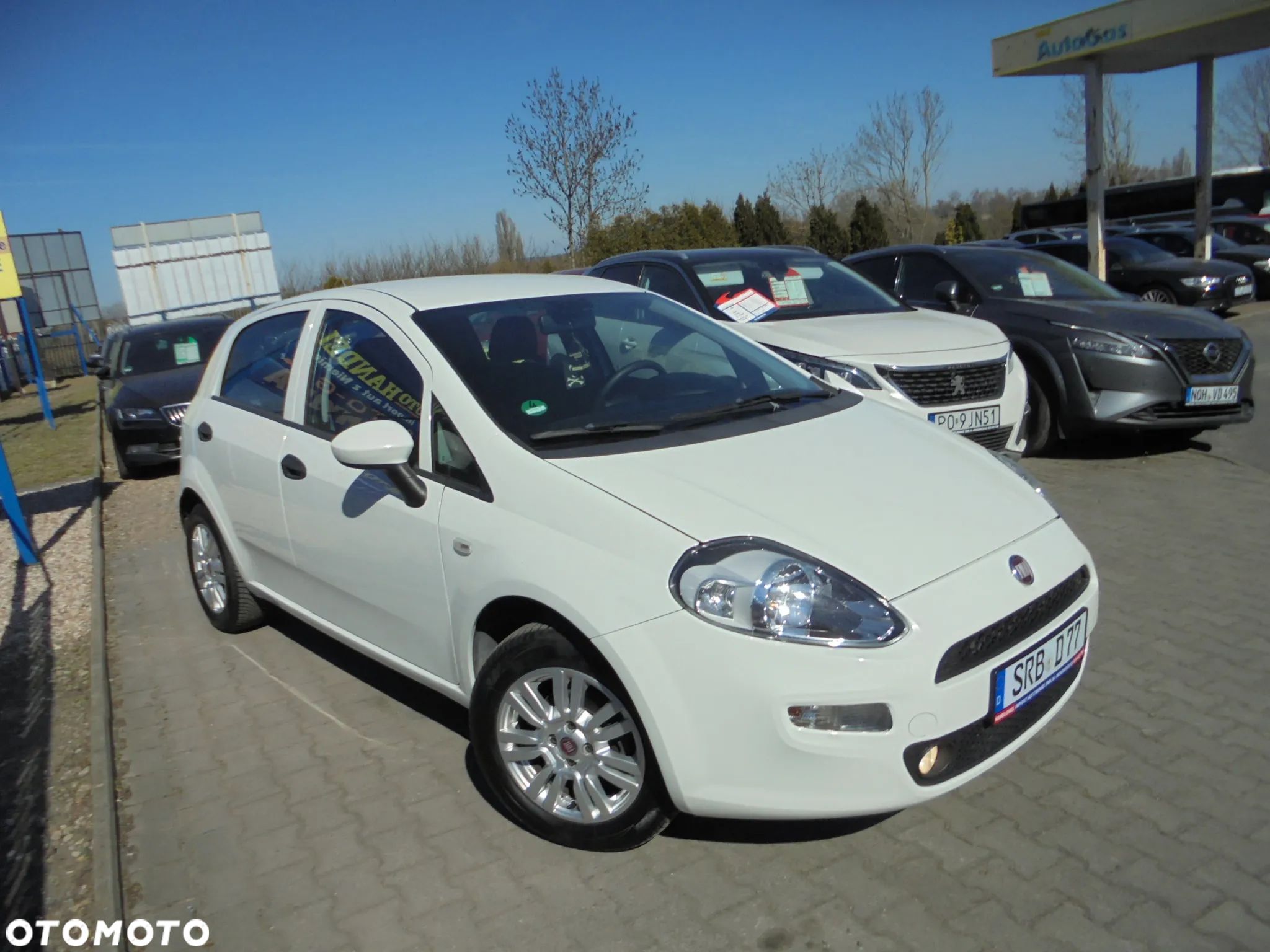 Fiat Punto 1.2 Easy Euro6 - 1