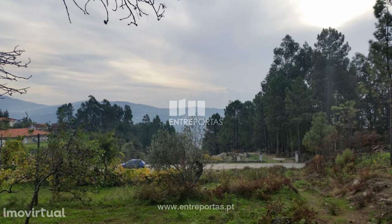 Venda Quinta, Penhalonga, Marco de Canaveses - Grande imagem: 3/13