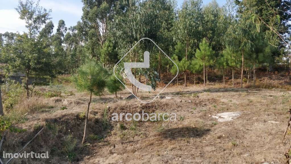 Terreno com 2500m2 - em zona de urbanização (possibilidade de construç - Grande imagem: 3/6