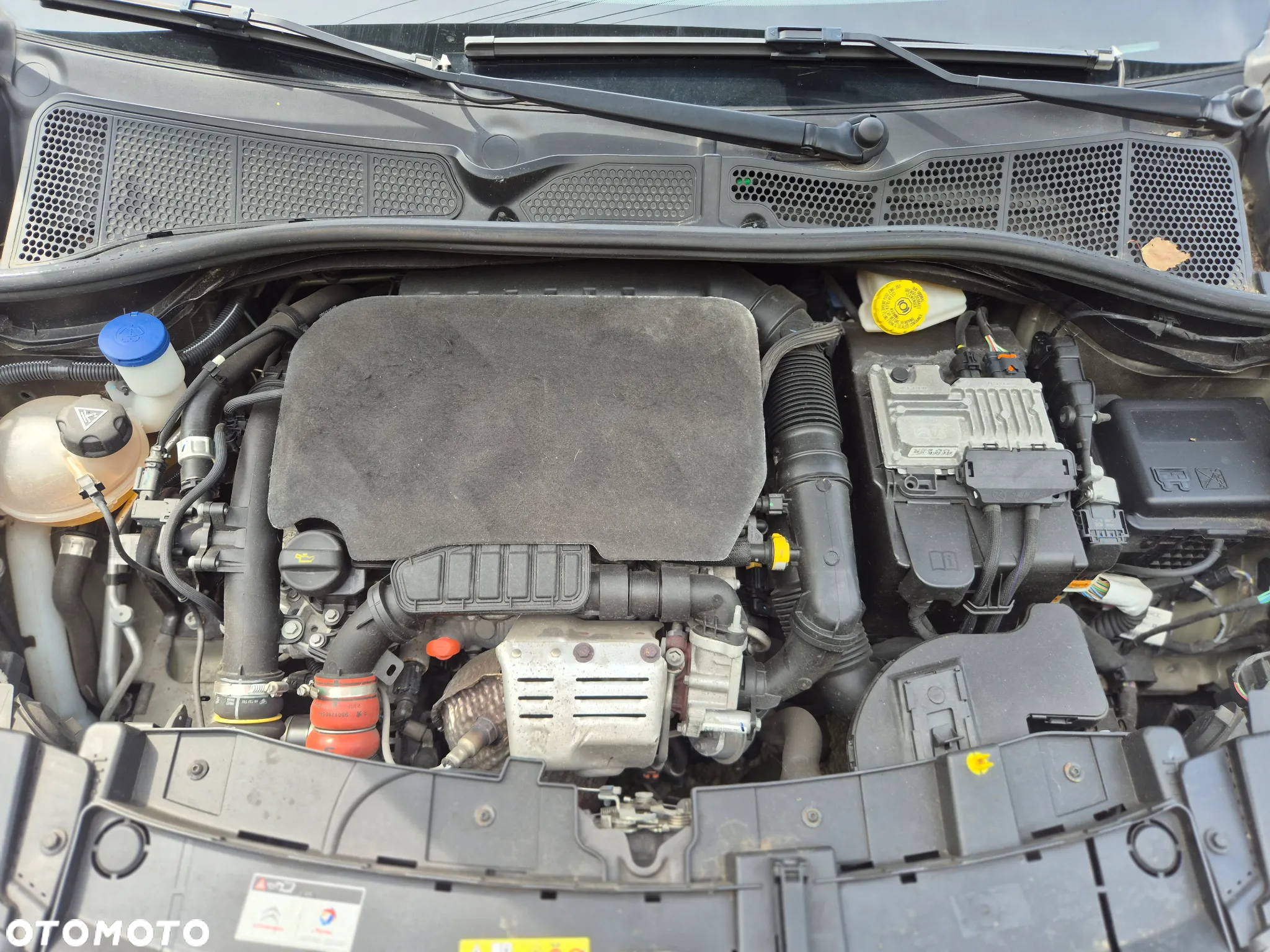 Citroën C4 Cactus 1.2 PureTech Shine S&S - 32
