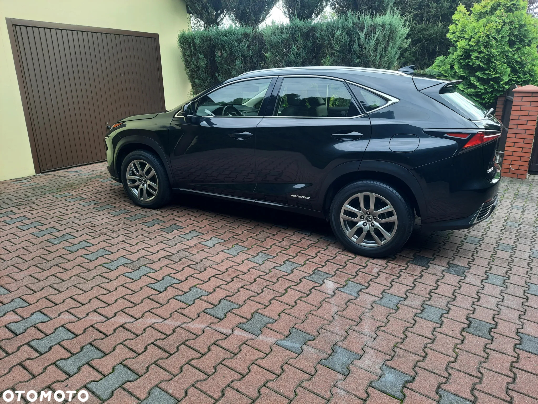 Lexus NX - 3