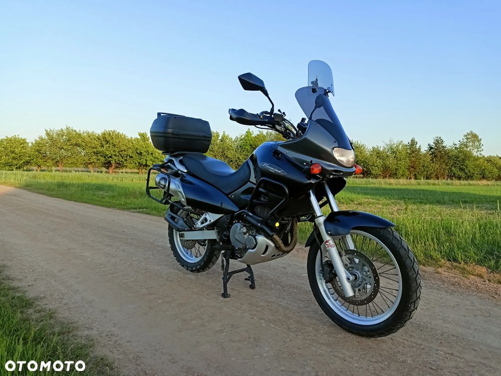 Suzuki XF - 2