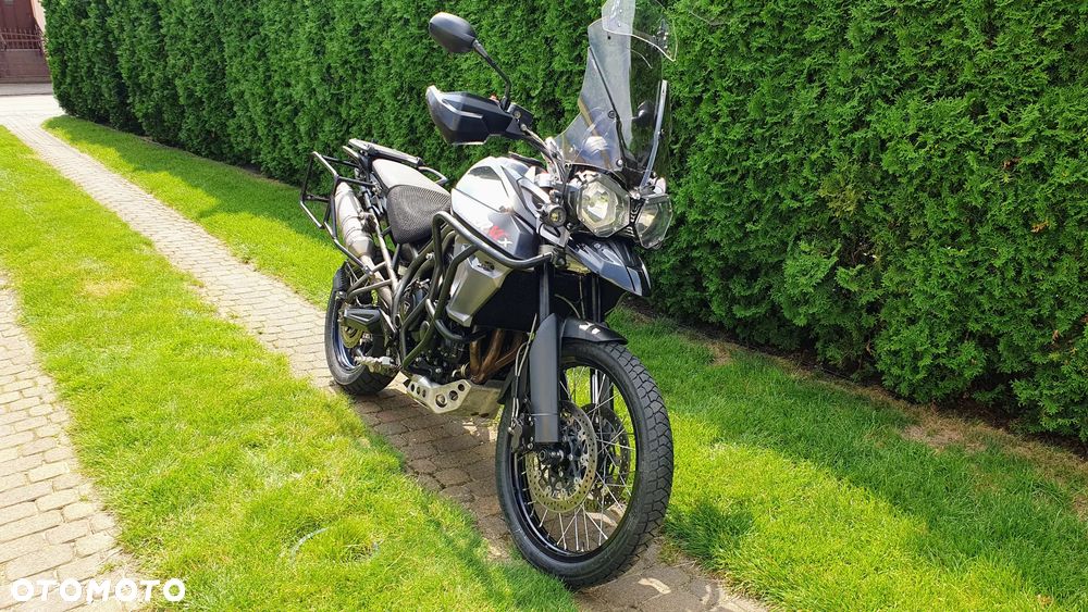 Triumph Tiger - 10