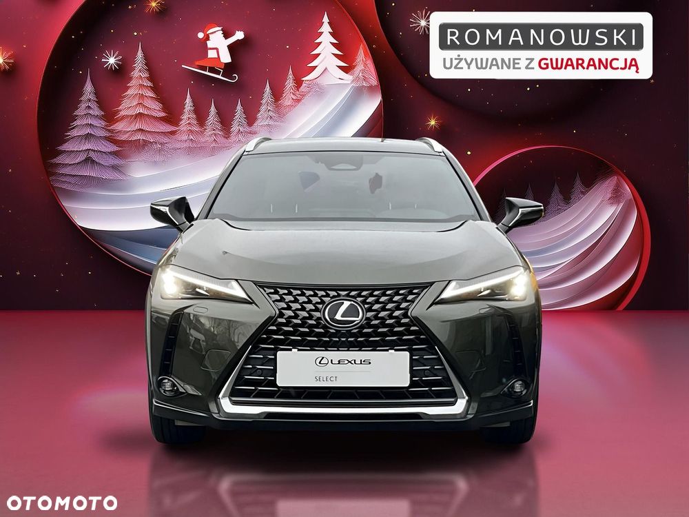 Lexus UX 300h Prestige AWD - 8