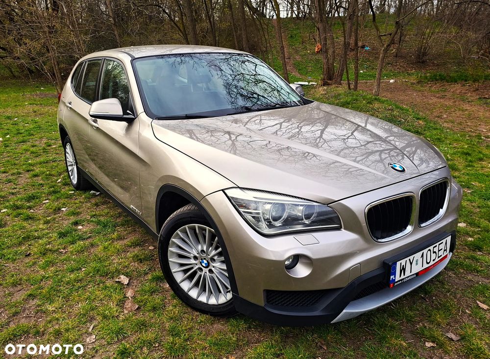 BMW X1 sDrive20d EfficientDynamics - 1