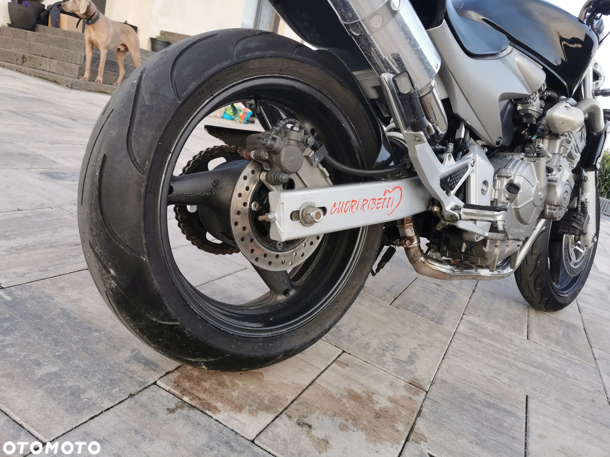 Honda Hornet - 17