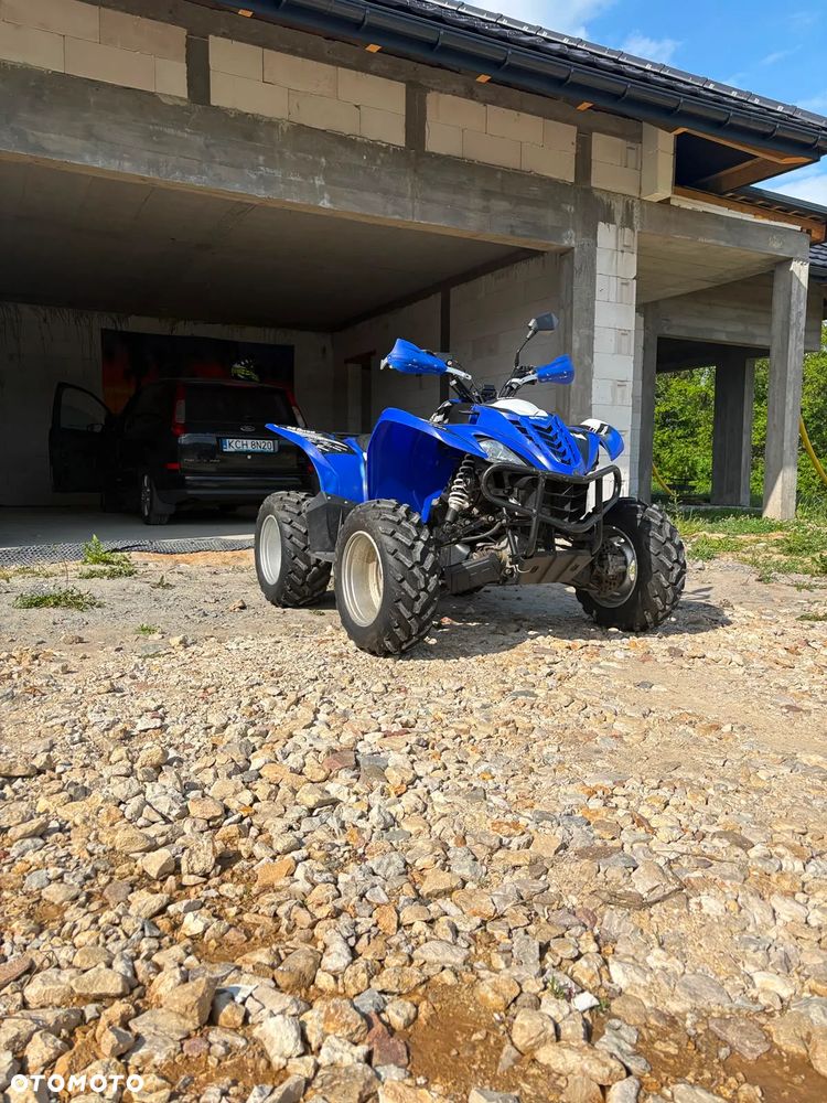 Yamaha Wolverine - 6