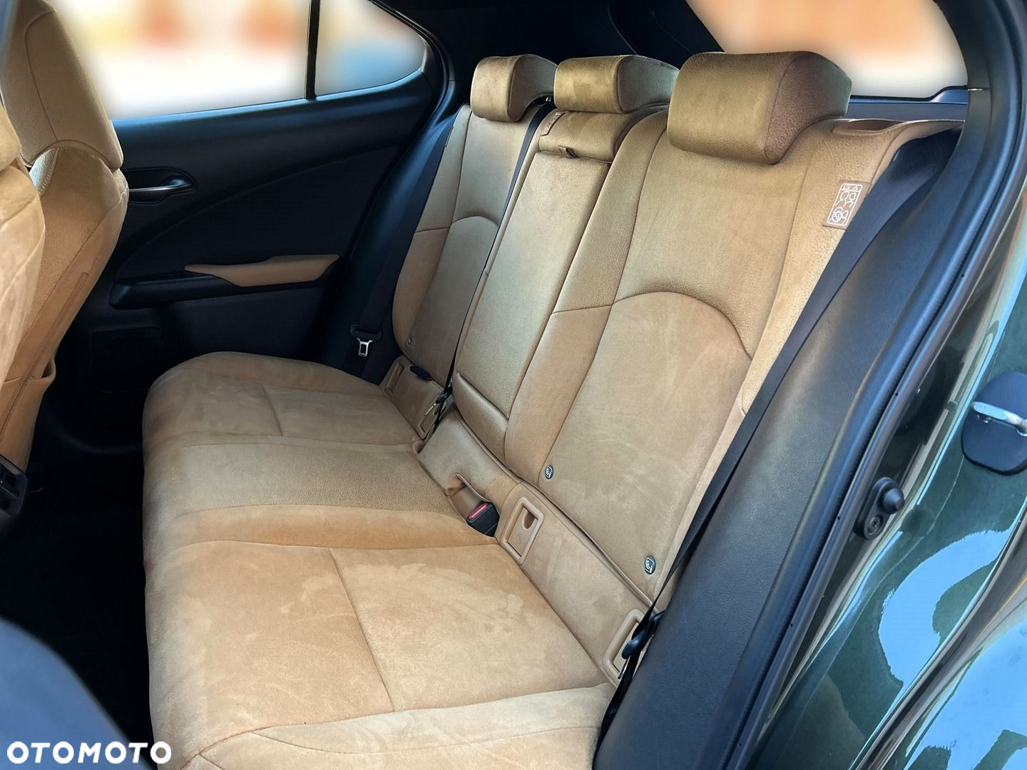 Lexus UX 250h GPF Business 2WD - 15
