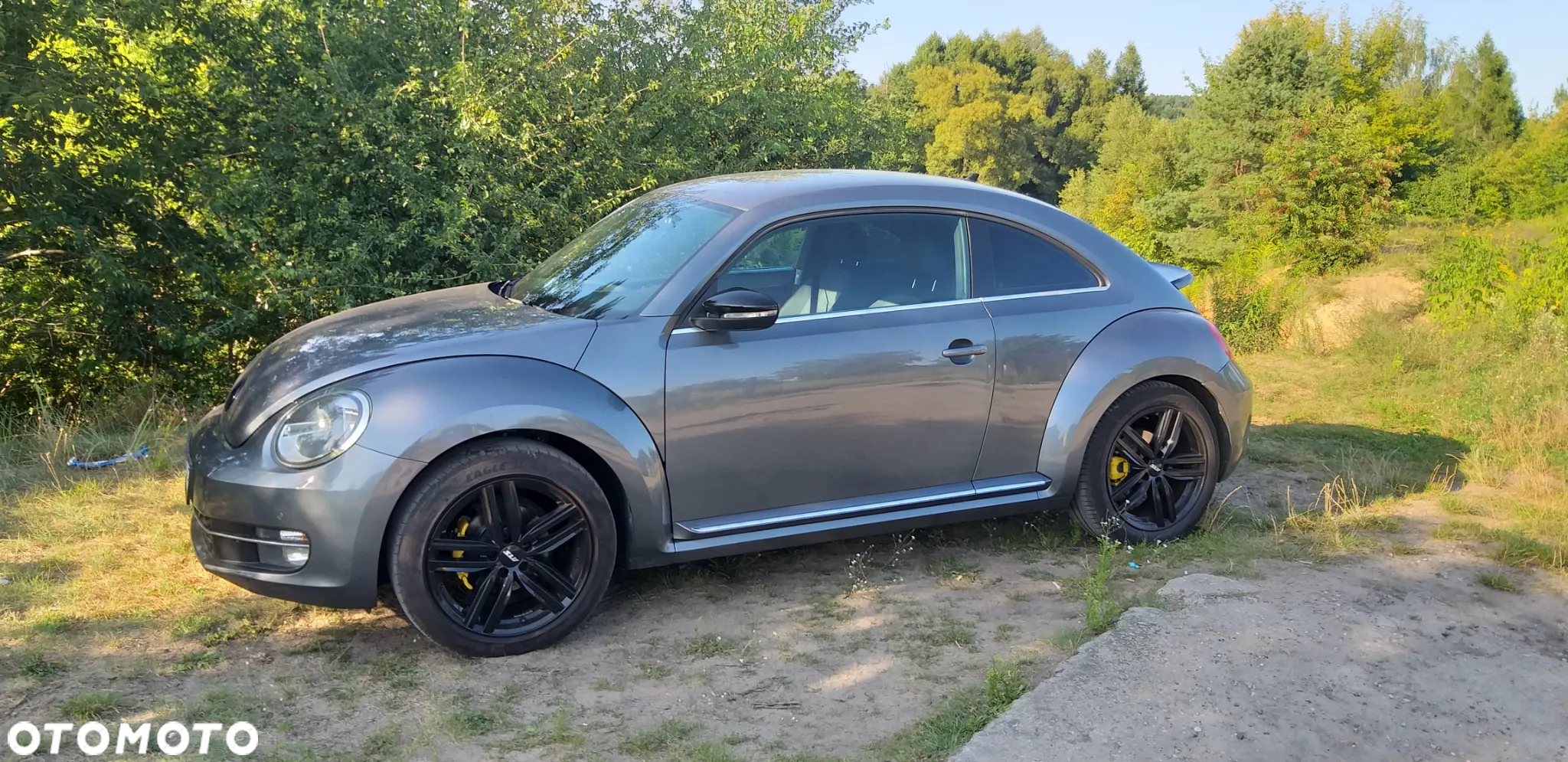 Volkswagen New Beetle - 4